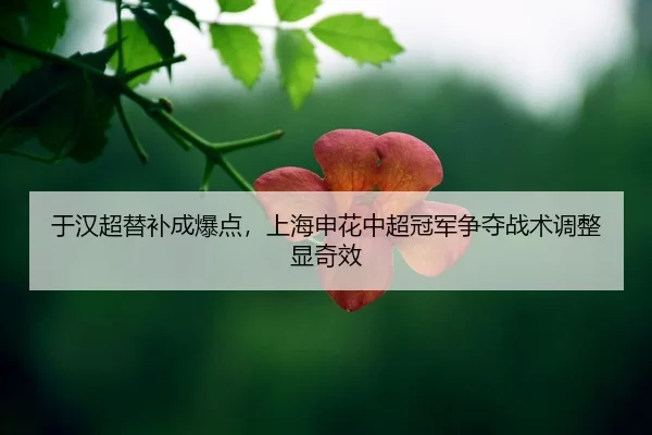yu-han-chao-ti-bu-cheng-bao-dian-shang-hai-shen-hua-zhong-chao-guan-jun-zheng-duo-zhan-shu-tiao-zheng-xian-qi-xiao-2-576.jpg