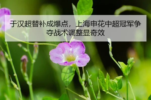 yu-han-chao-ti-bu-cheng-bao-dian-shang-hai-shen-hua-zhong-chao-guan-jun-zheng-duo-zhan-shu-tiao-zheng-xian-qi-xiao-3-523.jpg