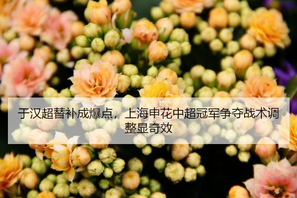 于汉超替补成爆点，上海申花中超冠军争夺战术调整显奇效