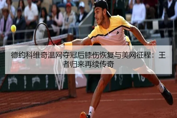 de-yue-ke-wei-qi-wen-wang-duo-guan-hou-xi-shang-hui-fu-yu-mei-wang-zheng-cheng-wang-zhe-gui-lai-zai-xu-chuan-qi-2-524.jpg